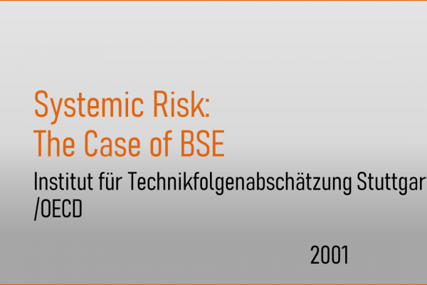 Systemic Risk: A New Challenge for Risk Management. The Case of BSE