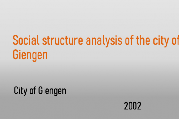Social Structure Analysis of the City of Giengen