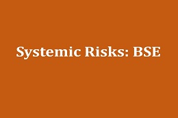 Systemic Risk: A new Challenge for Risk Management. The Case of BSE