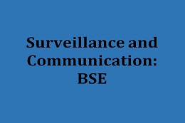 Analysis of BSE/CJD Surveillance Systems and Their Communication Strategies
